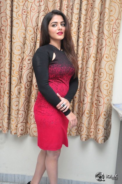 Wamiqa-Gabbi-at-Bhale-Manchi-Roju-Movie-Press-Meet